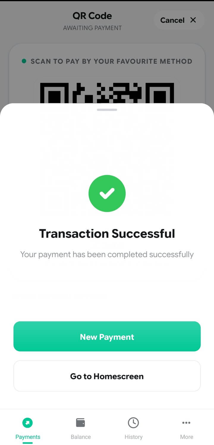 zoyk app — transaction successful